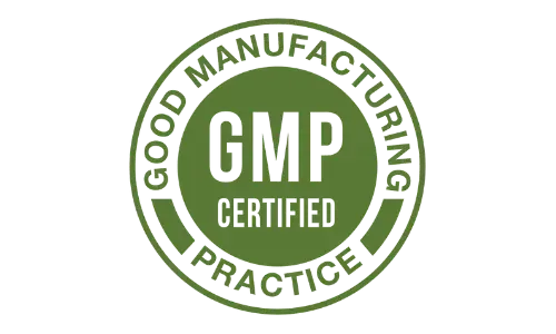 GMP Certified Moringa Magic